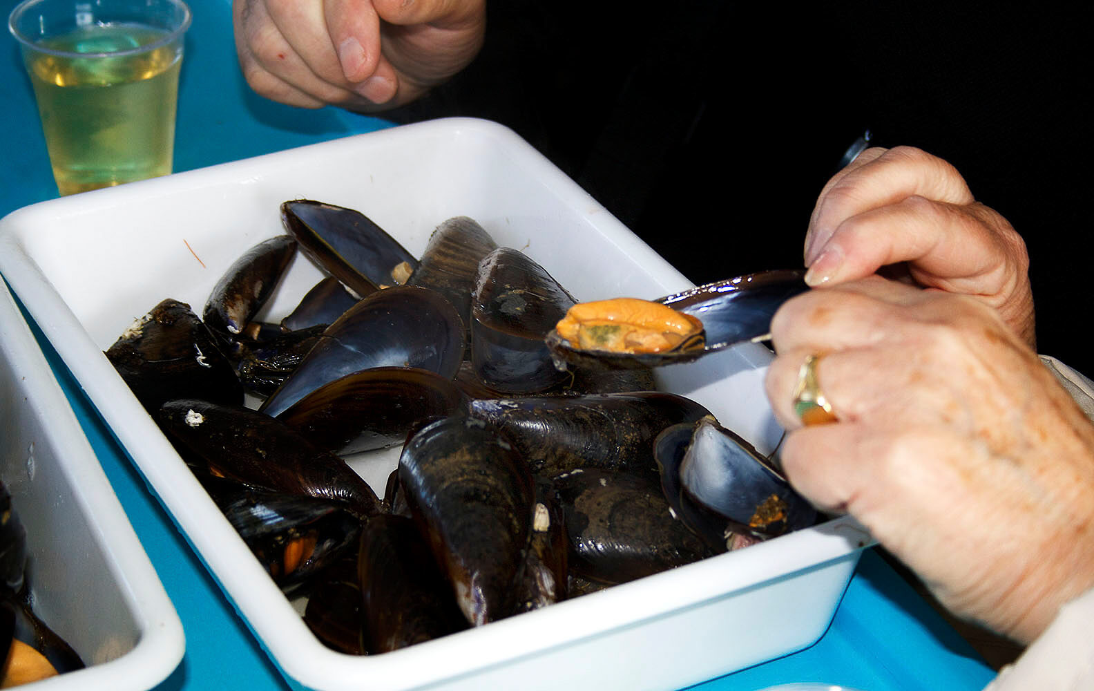 barco-cata-mejillones-3-alicante-fiesta